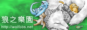 卡普貓_2009年8月