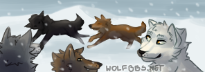 wolfbannerver2_432.png
